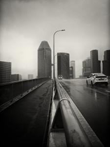 LM012532_Nik
