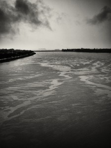 LM012540_Nik
