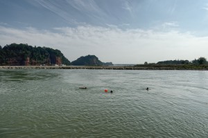P1011068_Nik