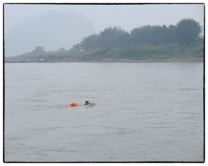 PB021386_Nik
