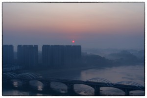 PB052178_Nik
