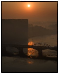 PB052195_Nik