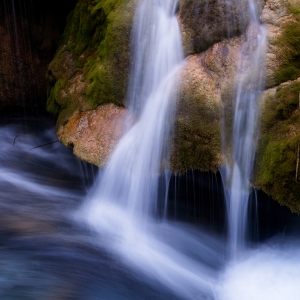 OEM10822_Nik_DLPhoto