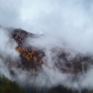 OEM10891_Nik_Nik_dlpw