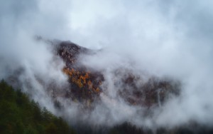 OEM10891_Nik_Nik_dlpw