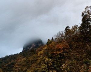 PA300175_Nik