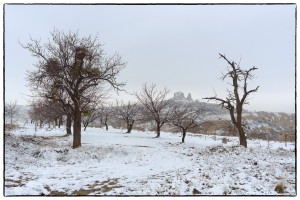 2019-Turkey-909_Nik
