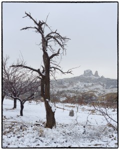 2019-Turkey-913_Nik