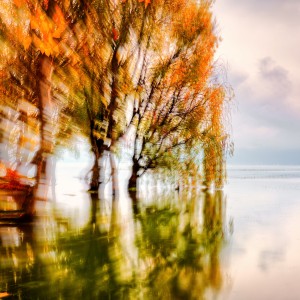 OEM10248_Nik_Nik_Nik_dlpw