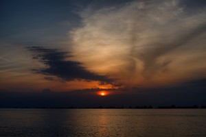L1000039_Nik