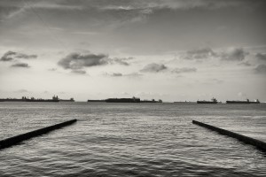 L1000165_Nik