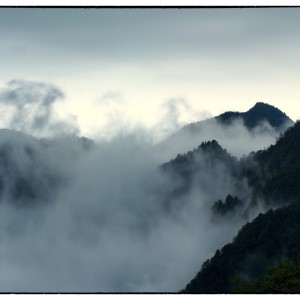 G923331_Nik