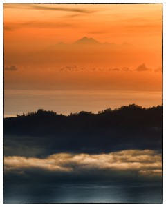 20221210-OEM1-ORF-301_Nik