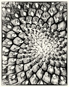 20230211-EM1X-67_Nik