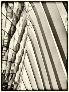 20230211-EM1X-71_Nik
