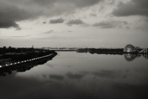 LM013995_Nik