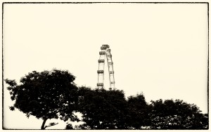 P7280206_Nik