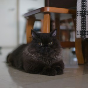G923709