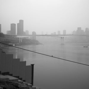 嘉陵江上的麻雀。
A sparrow resting over Jialing River.