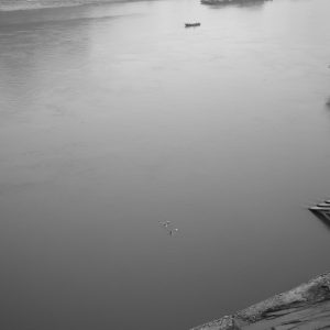 嘉陵江中两泳者。
Two swimmers in Jialing River.