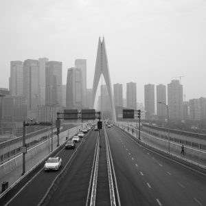 重庆千斯门大桥和南岸区。
Qiansi Gate Bridge and Southern District in Chongqing.